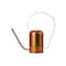 Hello Honey® 18.5" Copper Modern Metal Watering Can